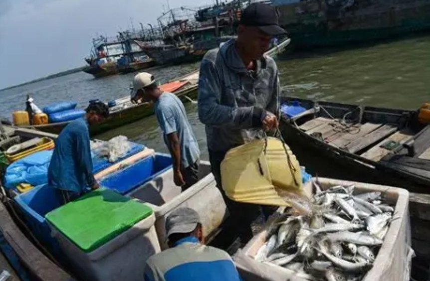 Peningkatan Produksi Perikanan Baubau Tahun 2024