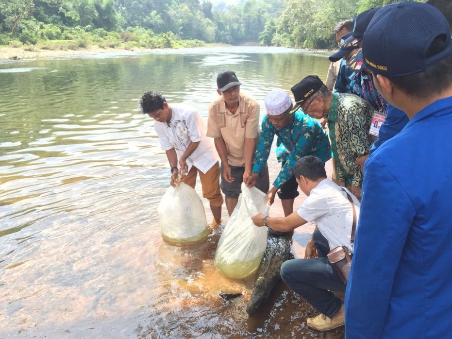 Jadwal Restocking Benih Ikan di Perairan Darat Baubau